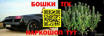 стаф Партизанск