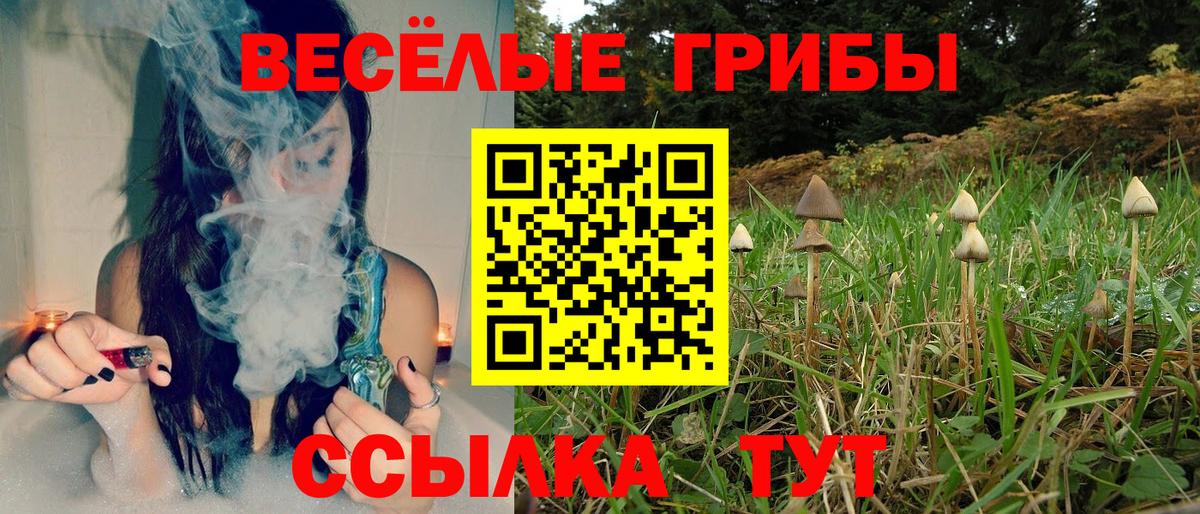 где купить   Вход с VPN  Рубцовск  Псилоцибиновые грибы ЛСД 