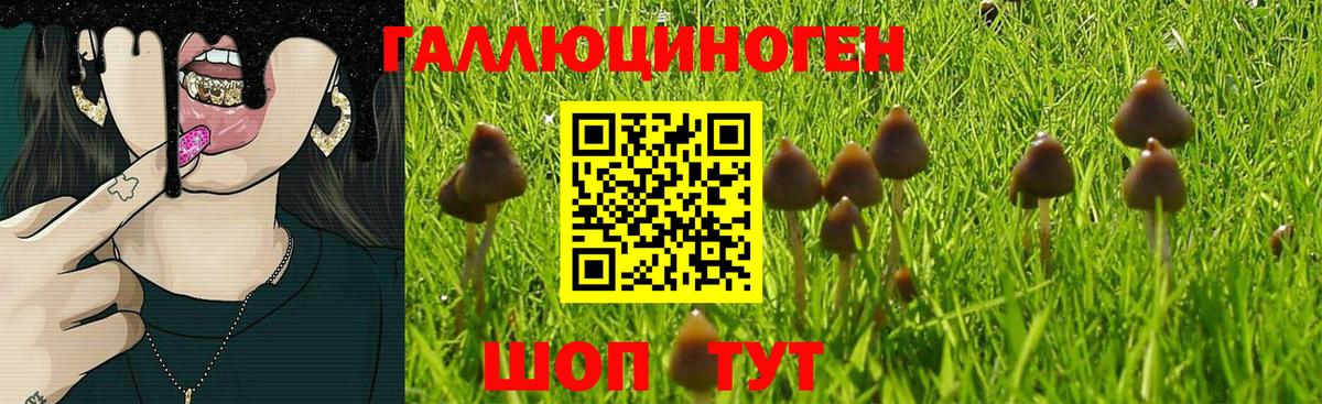 Псилоцибиновые грибы прущие грибы Рубцовск